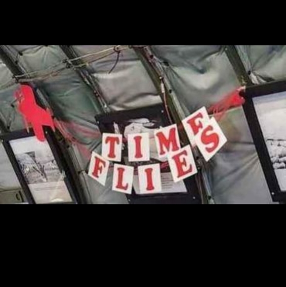 Time Flies/Airplane/1st Birthday Party Decorations - Picture 2 of 4